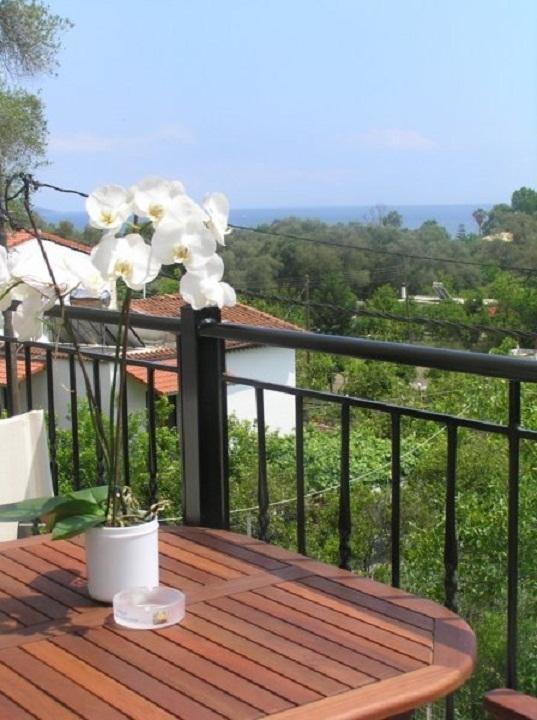 Villa Thomas Πάργα Εξωτερικό φωτογραφία